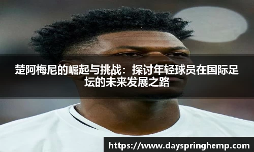 芒果体育官网入口