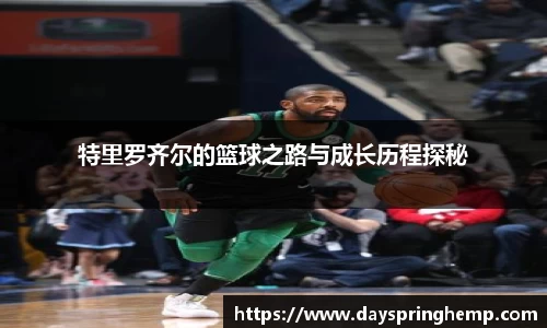 芒果体育官网入口