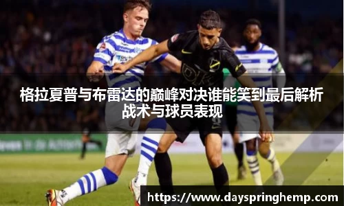 芒果体育官网入口